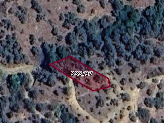 İzmir Bayındır Kızılkeçili'de 2 Adet Toplam 432 m2 Zeytinlik. Yolu Var. Açıklamayı Okuyunuz Lütfen.