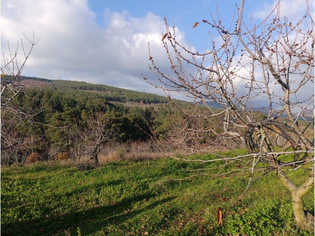 İzmir Bayındır Dernekli Yaylada 6.441 m2 Kiraz Bahçesi. 500 Ağaçlık. Açıklamayı Okuyunuz Lütfen. İzmir Bayındır Dernekli Yaylada 6.441 m2 Kiraz Bahçesi. 500 Ağaçlık. Açıklamayı Okuyunuz Lütfen.