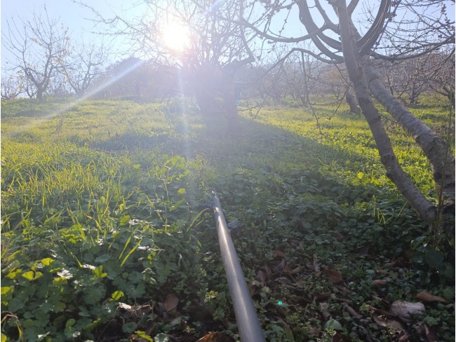 İzmir Bayındır Dernekli Yaylada 6.441 m2 Kiraz Bahçesi. 500 Ağaçlık. Açıklamayı Okuyunuz Lütfen. İzmir Bayındır Dernekli Yaylada 6.441 m2 Kiraz Bahçesi. 500 Ağaçlık. Açıklamayı Okuyunuz Lütfen.