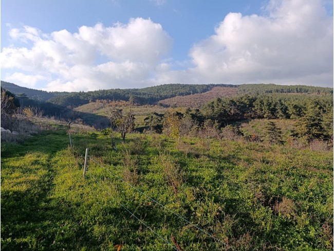 İzmir Bayındır Dernekli Yaylada 6.441 m2 Kiraz Bahçesi. 500 Ağaçlık. Açıklamayı Okuyunuz Lütfen.