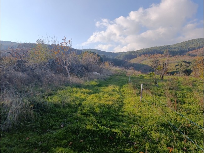 İzmir Bayındır Dernekli Yaylada 6.441 m2 Kiraz Bahçesi. 500 Ağaçlık. Açıklamayı Okuyunuz Lütfen. İzmir Bayındır Dernekli Yaylada 6.441 m2 Kiraz Bahçesi. 500 Ağaçlık. Açıklamayı Okuyunuz Lütfen.