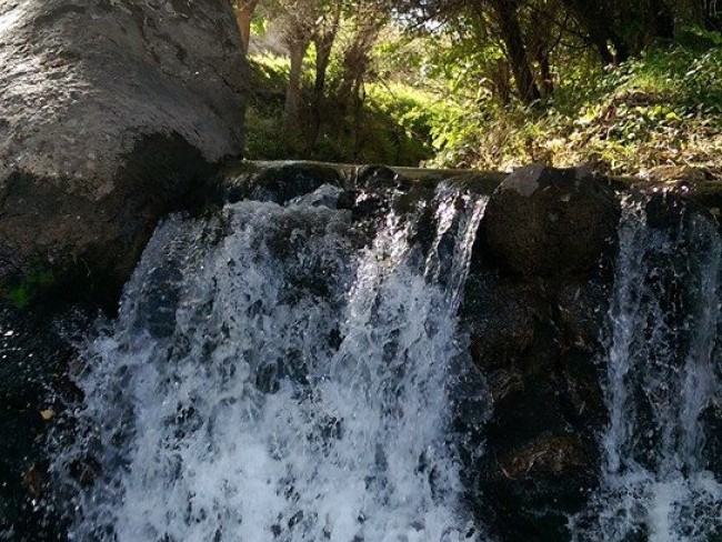 Antalya Akseki Sadıklar Köyünde 313 m2 Yatırımlık Çok Uygun Tarla. Açıklamayı Okuyarak Arayınız.