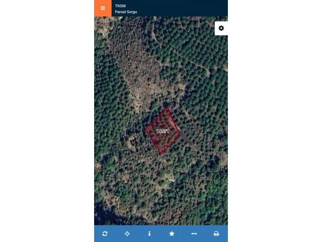 İzmir Bergama Yukarıada'da 1.425 M2 Çam Fıstığı Tarlası Uygun Fiyat. Açıklamayı Okuyunuz.