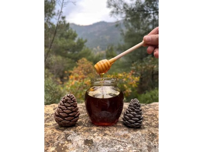 İzmir Bergama Yukarıada'da 1.425 M2 Çam Fıstığı Tarlası Uygun Fiyat. Açıklamayı Okuyunuz.