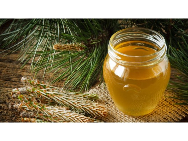 İzmir Bergama Yukarıada'da 1.425 M2 Çam Fıstığı Tarlası Uygun Fiyat. Açıklamayı Okuyunuz.