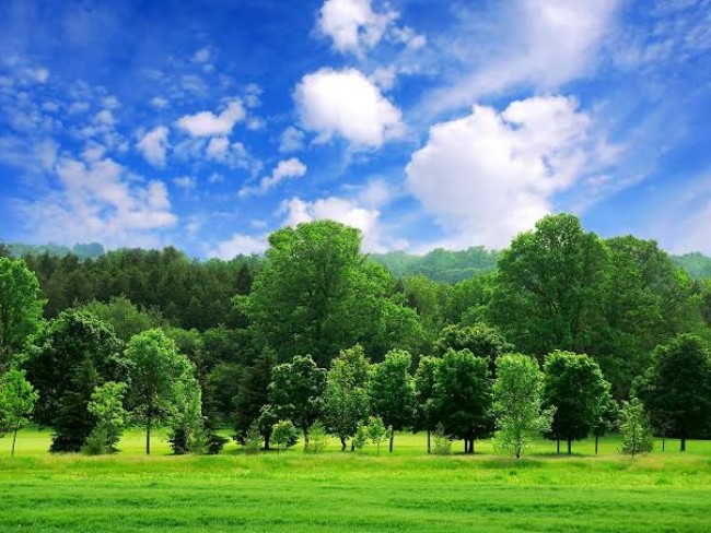 Uşak Ulubey Küçükkayalı'da 6.937 m2 Yatırımlık Uygun Tarla. Açıklamayı Okuyarak Arayınız.