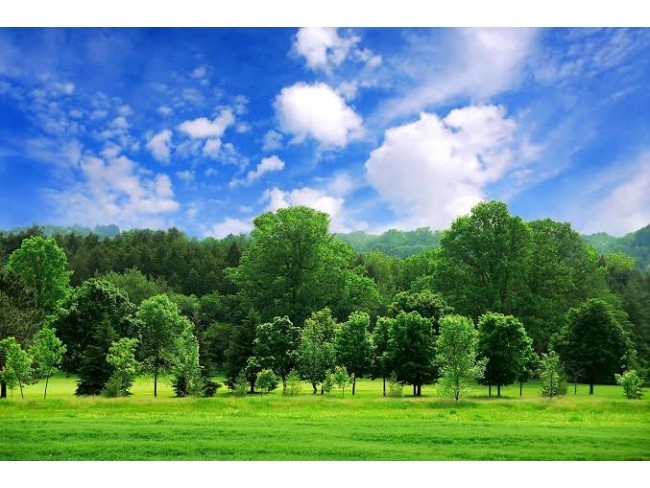 Uşak Ulubey Küçükkayalı'da 6.937 m2 Yatırımlık Uygun Tarla. Açıklamayı Okuyarak Arayınız.