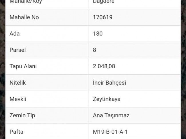 İzmir Tire Dağdere'de 2.048 m2 İncir Bahçesi. Ulaşımı Kolay. Uygun. Açıklamayı Okuyarak Arayınız