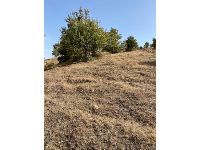 Uşak Eşme Karaahmetli'de 9.800 m2 Yatırımlık Uygun Tarla. Açıklamayı Okuyunuz. Uşak Eşme Karaahmetli'de 9.800 m2 Yatırımlık Uygun Tarla. Açıklamayı Okuyunuz.