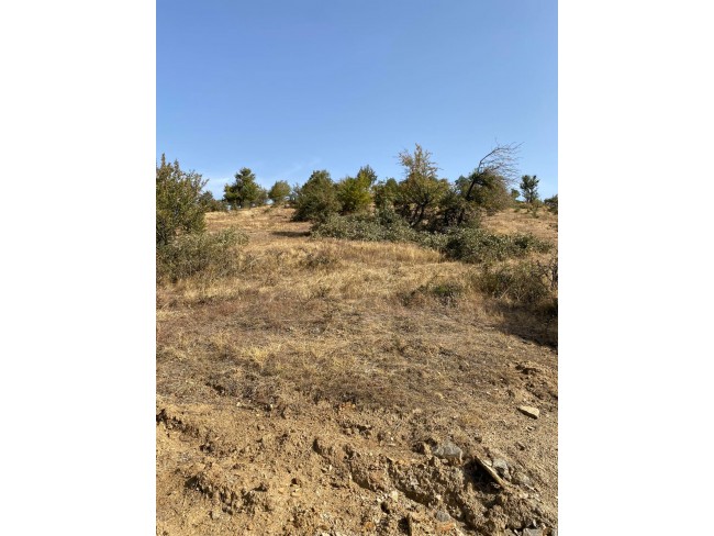 Uşak Eşme Karaahmetli'de 9.800 m2 Yatırımlık Uygun Tarla. Açıklamayı Okuyunuz.