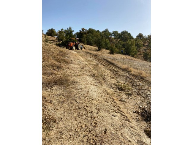 Uşak Eşme Karaahmetli'de 9.800 m2 Yatırımlık Uygun Tarla. Açıklamayı Okuyunuz.