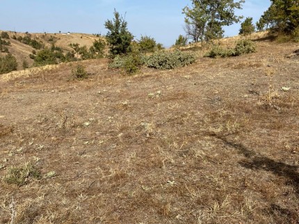 Uşak Eşme Karaahmetli'de 9.800 m2 Yatırımlık Uygun Tarla. Açıklamayı Okuyunuz. Uşak Eşme Karaahmetli'de 9.800 m2 Yatırımlık Uygun Tarla. Açıklamayı Okuyunuz.