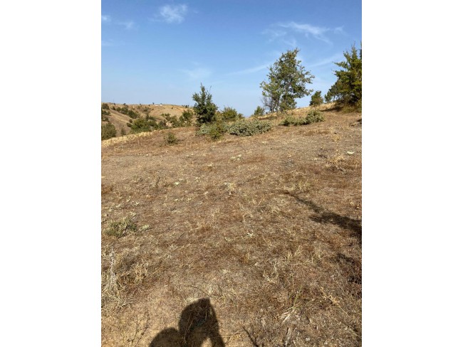 Uşak Eşme Karaahmetli'de 9.800 m2 Yatırımlık Uygun Tarla. Açıklamayı Okuyunuz. Uşak Eşme Karaahmetli'de 9.800 m2 Yatırımlık Uygun Tarla. Açıklamayı Okuyunuz.