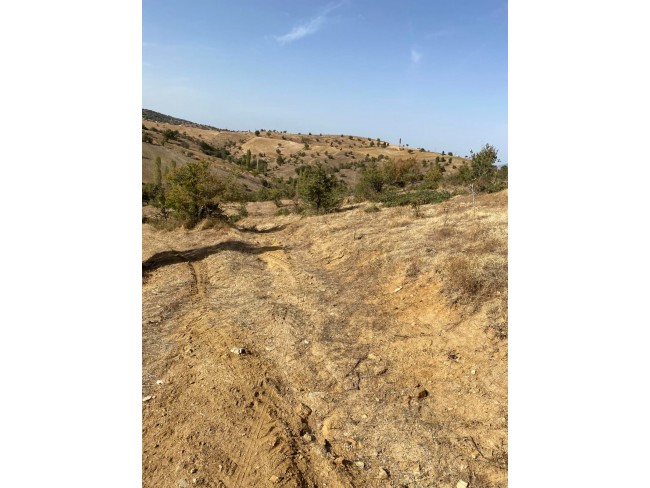 Uşak Eşme Karaahmetli'de 9.800 m2 Yatırımlık Uygun Tarla. Açıklamayı Okuyunuz. Uşak Eşme Karaahmetli'de 9.800 m2 Yatırımlık Uygun Tarla. Açıklamayı Okuyunuz.