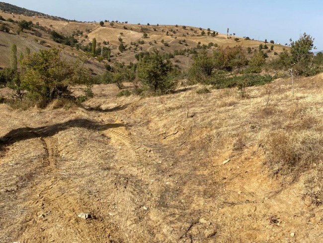 Uşak Eşme Karaahmetli'de 9.800 m2 Yatırımlık Uygun Tarla. Açıklamayı Okuyunuz.