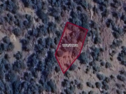 İzmir Bayındır Yusuflu'da Köy Manzaralı 476 m2 Çok Uygun Zeytinlik. Açıklamayı Okuyarak Arayınız.