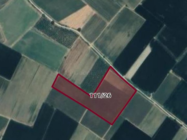 İzmir Tire Eskioba'da 37 Dönüm 2 Uygun Yatırımlık Tarla. Konumu Güzel. Açıklamayı Okuyarak Arayınız.