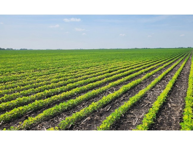 İzmir Tire Eskioba'da 37 Dönüm 2 Uygun Yatırımlık Tarla. Konumu Güzel. Açıklamayı Okuyarak Arayınız. İzmir Tire Eskioba'da 37 Dönüm 2 Uygun Yatırımlık Tarla. Konumu Güzel. Açıklamayı Okuyarak Arayınız.