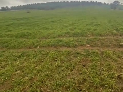 Manisa Kula Evciler'de 17.819 m2 Çok Uygun Güzel Tarla. Otoyola Yakın. Açıklamayı Okuyarak Arayınız.