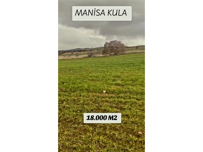 Manisa Kula Evciler'de 17.819 m2 Çok Uygun Güzel Tarla. Otoyola Yakın. Açıklamayı Okuyarak Arayınız. Manisa Kula Evciler'de 17.819 m2 Çok Uygun Güzel Tarla. Otoyola Yakın. Açıklamayı Okuyarak Arayınız.