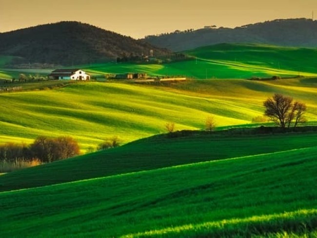 Uşak Banaz Yazıtepe'de 7.672 m2 Yatırımlık Uygun Tarla. Su Yakınında. Açıklamayı Okuyarak Arayınız.