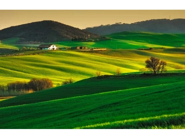 Uşak Banaz Yazıtepe'de 7.672 m2 Yatırımlık Uygun Tarla. Su Yakınında. Açıklamayı Okuyarak Arayınız. Uşak Banaz Yazıtepe'de 7.672 m2 Yatırımlık Uygun Tarla. Su Yakınında. Açıklamayı Okuyarak Arayınız.