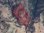 İzmir Kiraz Suludere'de 15.200 m2 Zeytin Bahçesi. 600 Ağaç. Kulube. Açıklamayı Okuyarak Arayınız