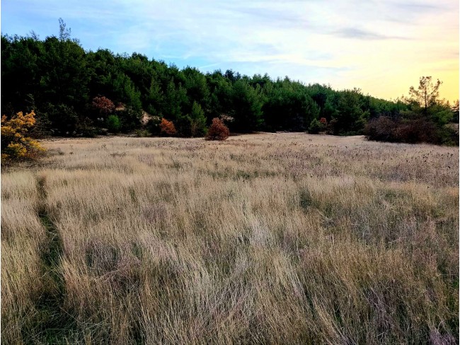 Uşak Ulubey İshaklarda 8.895 m2 Akarsu Yanı Çok Uygun Yatırımlık Tarla. Açıklamayı Okuyarak Arayınız