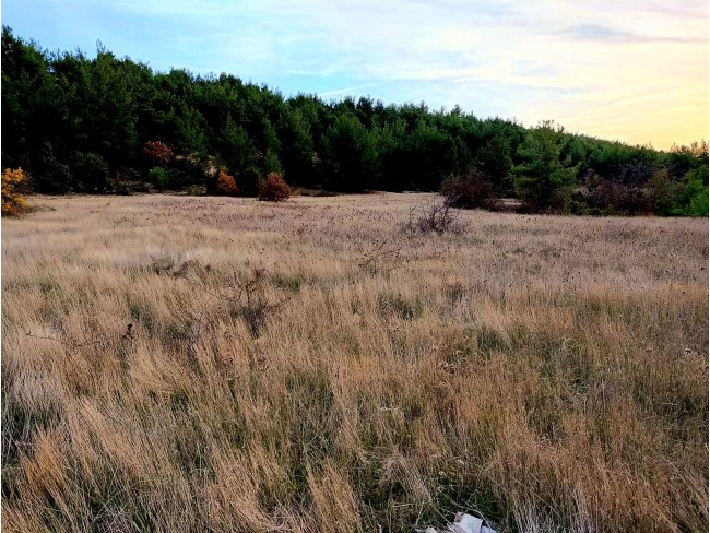 Uşak Ulubey İshaklarda 8.895 m2 Akarsu Yanı Çok Uygun Yatırımlık Tarla. Açıklamayı Okuyarak Arayınız