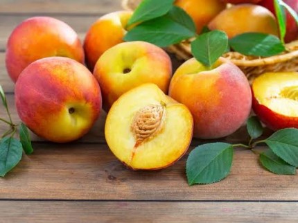 Uşak Ulubey İshaklarda 8.895 m2 Akarsu Yanı Çok Uygun Yatırımlık Tarla. Açıklamayı Okuyarak Arayınız