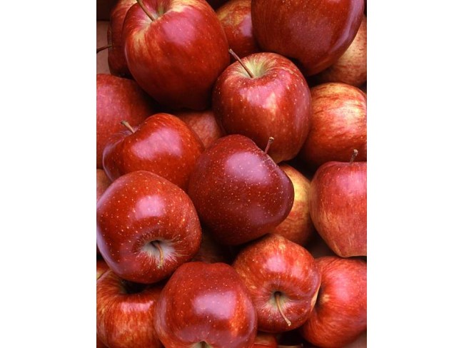 Denizli Bekilli Merkez'de Yeni Toki Konutları ve Otoyol Yanında 4.973 m2 Tarla. Açıklamayı Okuyunuz.