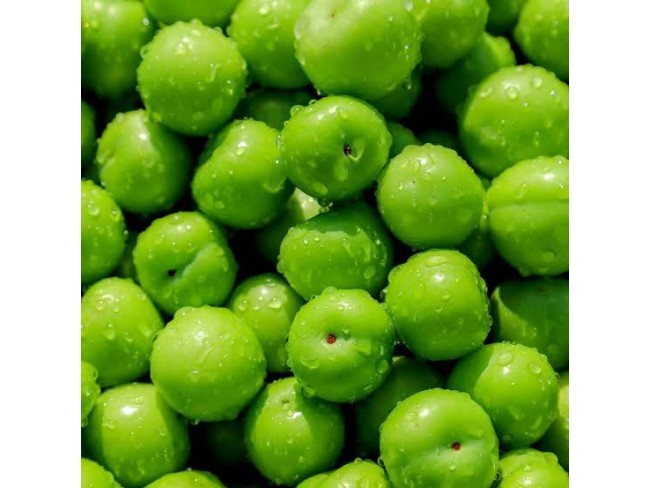 Denizli Bekilli Merkez'de Yeni Toki Konutları ve Otoyol Yanında 4.973 m2 Tarla. Açıklamayı Okuyunuz.