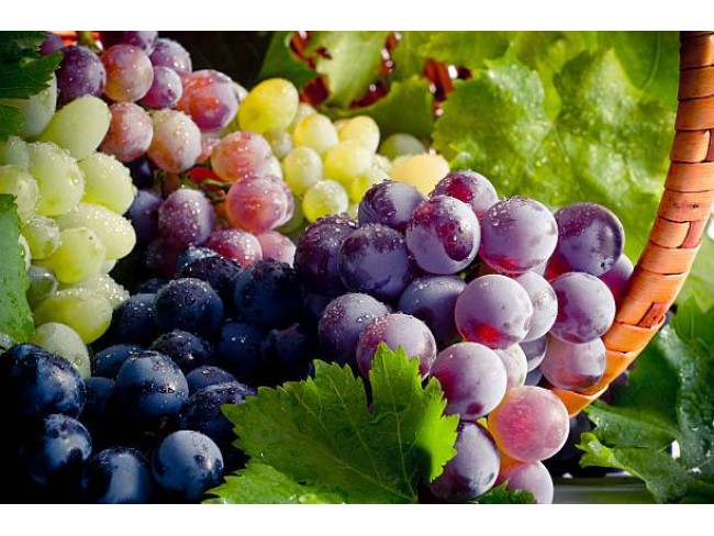 Denizli Bekilli Merkez'de Yeni Toki Konutları ve Otoyol Yanında 4.973 m2 Tarla. Açıklamayı Okuyunuz.