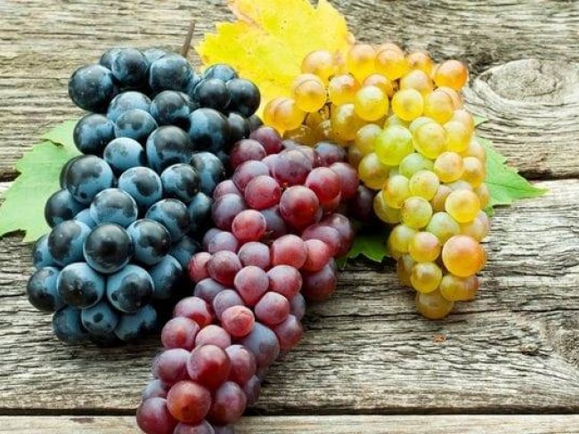 İzmir Bayındır Merkezde Ful Manzaralı 2.167 m2 Yatırımlık Harika Zeytinlik. Açıklamayı Okuyunuz