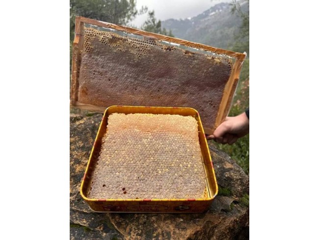 İzmir Bayındır Merkezde Ful Manzaralı 2.167 m2 Yatırımlık Harika Zeytinlik. Açıklamayı Okuyunuz