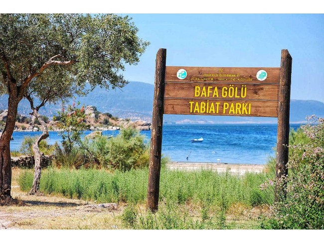 Aydın Didim Akyeniköy Merkezde, Denize ve Bafa Gölüne Yakın 355 m2 İmarlı Arsa. Açıklamayı Okuyunuz.