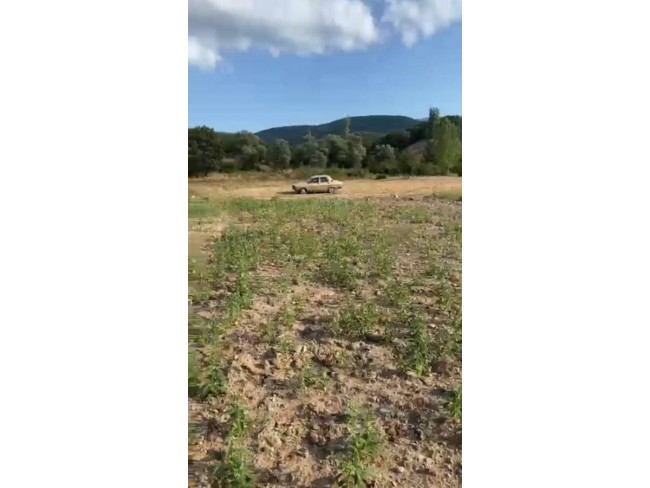 Balıkesir Sındırgı Mumcu'da Akarsu Yakınında 587 m2 Tarım Arı Kümes Tarlası. Açıklamayı Okuyunuz.