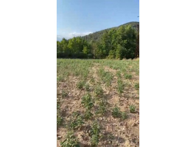 Balıkesir Sındırgı Mumcu'da Akarsu Yakınında 587 m2 Tarım Arı Kümes Tarlası. Açıklamayı Okuyunuz.