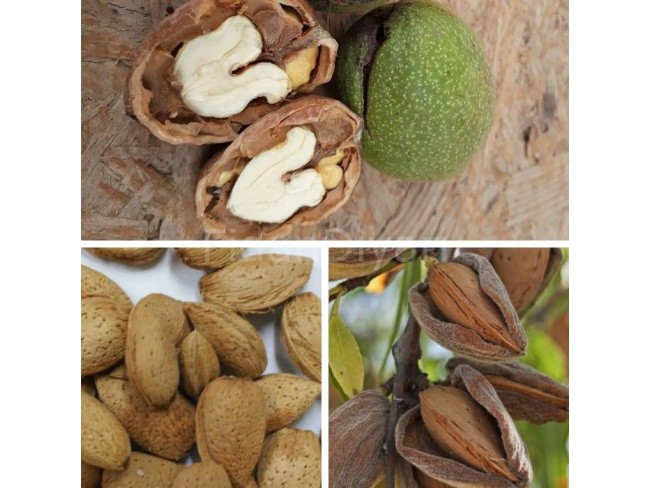 Balıkesir Sındırgı Mumcu'da Akarsu Yakınında 587 m2 Tarım Arı Kümes Tarlası. Açıklamayı Okuyunuz. Balıkesir Sındırgı Mumcu'da Akarsu Yakınında 587 m2 Tarım Arı Kümes Tarlası. Açıklamayı Okuyunuz.