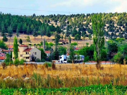 Kütahya Emet Örencik Köyiçi Elektrik Sulu Şeker Pancarı Ekili 1.463 M2 Tarla. Açıklamayı Okuyunuz