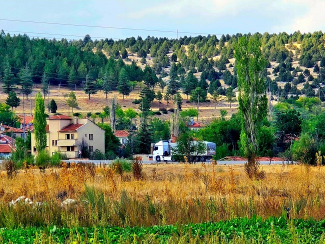 Kütahya Emet Örencik Köyiçi Elektrik Sulu Şeker Pancarı Ekili 1.463 M2 Tarla. Açıklamayı Okuyunuz