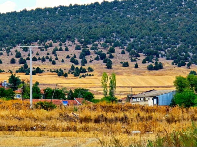 Kütahya Emet Örencik Köyiçi Elektrik Sulu Şeker Pancarı Ekili 1.463 M2 Tarla. Açıklamayı Okuyunuz Kütahya Emet Örencik Köyiçi Elektrik Sulu Şeker Pancarı Ekili 1.463 M2 Tarla. Açıklamayı Okuyunuz