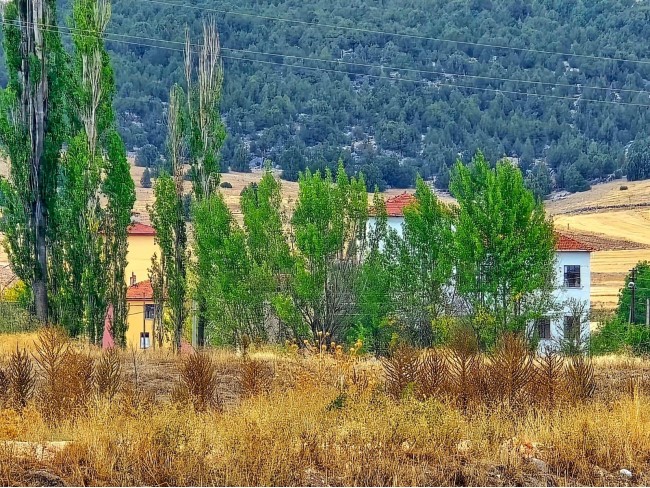 Kütahya Emet Örencik Köyiçi Elektrik Sulu Şeker Pancarı Ekili 1.463 M2 Tarla. Açıklamayı Okuyunuz Kütahya Emet Örencik Köyiçi Elektrik Sulu Şeker Pancarı Ekili 1.463 M2 Tarla. Açıklamayı Okuyunuz