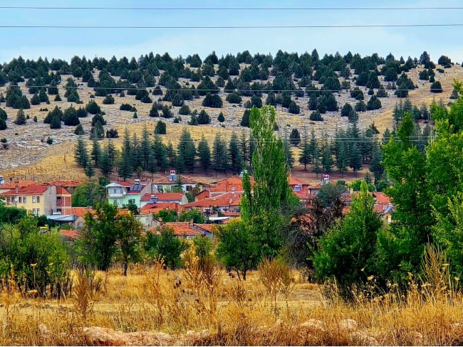 Kütahya Emet Örencik Köyiçi Elektrik Sulu Şeker Pancarı Ekili 1.463 M2 Tarla. Açıklamayı Okuyunuz Kütahya Emet Örencik Köyiçi Elektrik Sulu Şeker Pancarı Ekili 1.463 M2 Tarla. Açıklamayı Okuyunuz