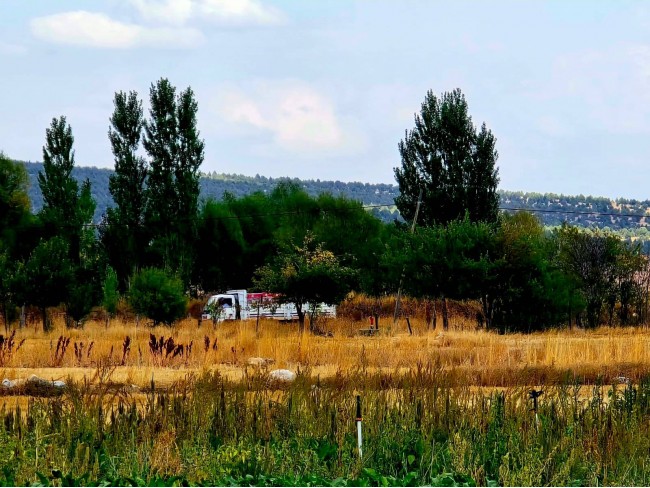 Kütahya Emet Örencik Köyiçi Elektrik Sulu Şeker Pancarı Ekili 1.463 M2 Tarla. Açıklamayı Okuyunuz Kütahya Emet Örencik Köyiçi Elektrik Sulu Şeker Pancarı Ekili 1.463 M2 Tarla. Açıklamayı Okuyunuz
