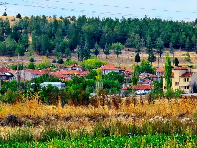 Kütahya Emet Örencik Köyiçi Elektrik Sulu Şeker Pancarı Ekili 1.463 M2 Tarla. Açıklamayı Okuyunuz