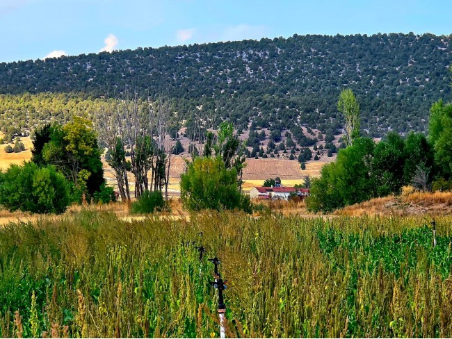 Kütahya Emet Örencik Köyiçi Elektrik Sulu Şeker Pancarı Ekili 1.463 M2 Tarla. Açıklamayı Okuyunuz